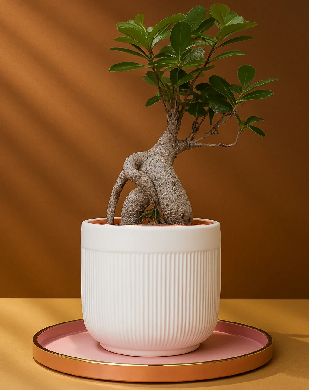 Zen Harmony Bonsai - FlowerSouq